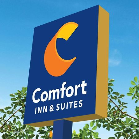 Comfort Inn & Suites Savannah Bagian luar foto